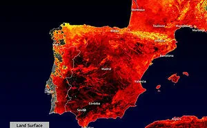 50 Pics From The Terrible Heatwaves That Happened This Summer