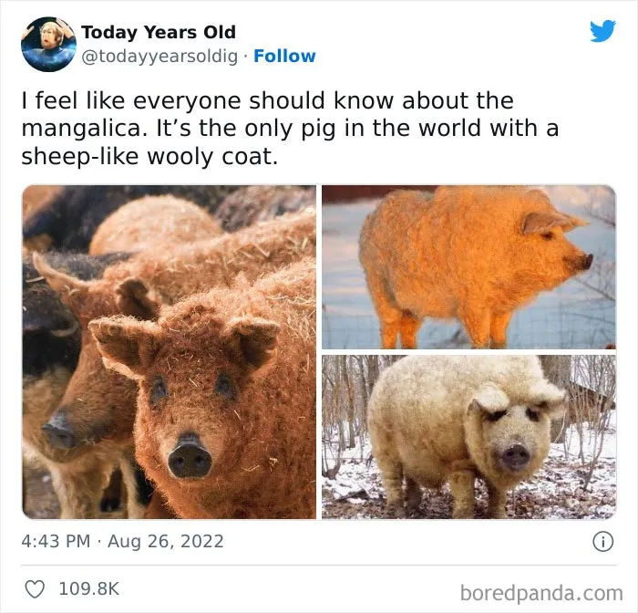 The ‘Today Years Old’ Social Media Project Shares Cool Facts, And Here Are 50 Of The Very Best Ones