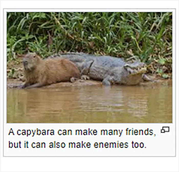 Folks Online Are Chuckling At These 30 Ridiculous “Edits” Of Wikipedia Pages As Shared By This Dedicated Twitter Page