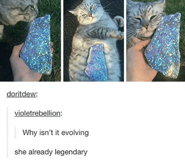 Blessed Pokemon Joke