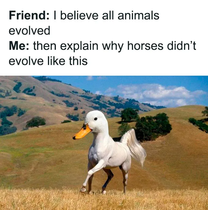 This Family Friend's Facebook Account Is A Gem