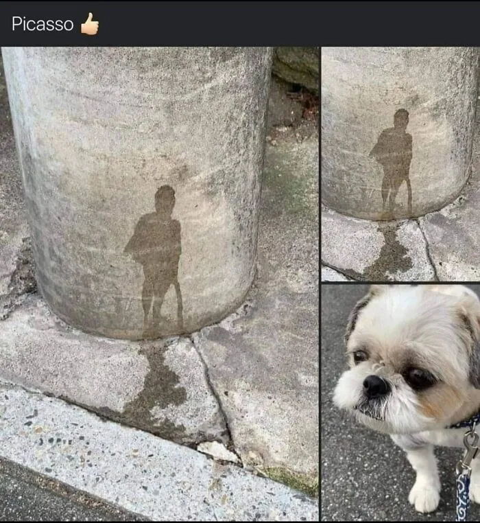 50 Times People Noticed Something Dreamlike And Shared Photos On The "Accidental Surrealism" Group
