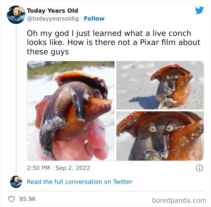 The ‘Today Years Old’ Social Media Project Shares Cool Facts, And Here Are 50 Of The Very Best Ones