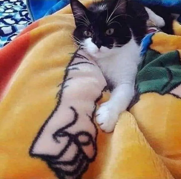 50 Times People Noticed Something Dreamlike And Shared Photos On The "Accidental Surrealism" Group