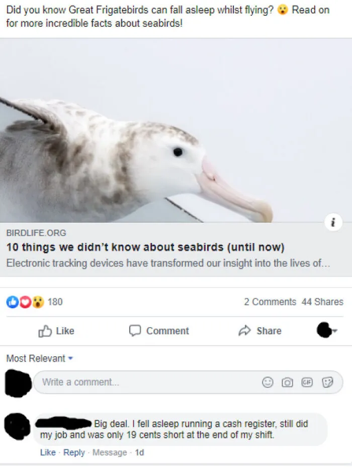 Flexing On Birds