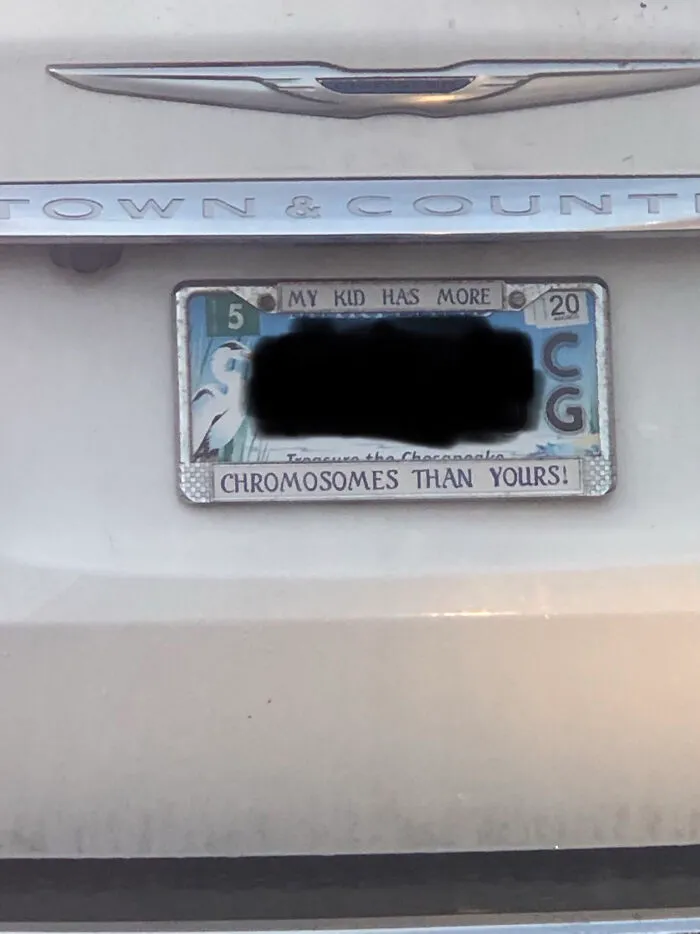 Ok. Neat Flex