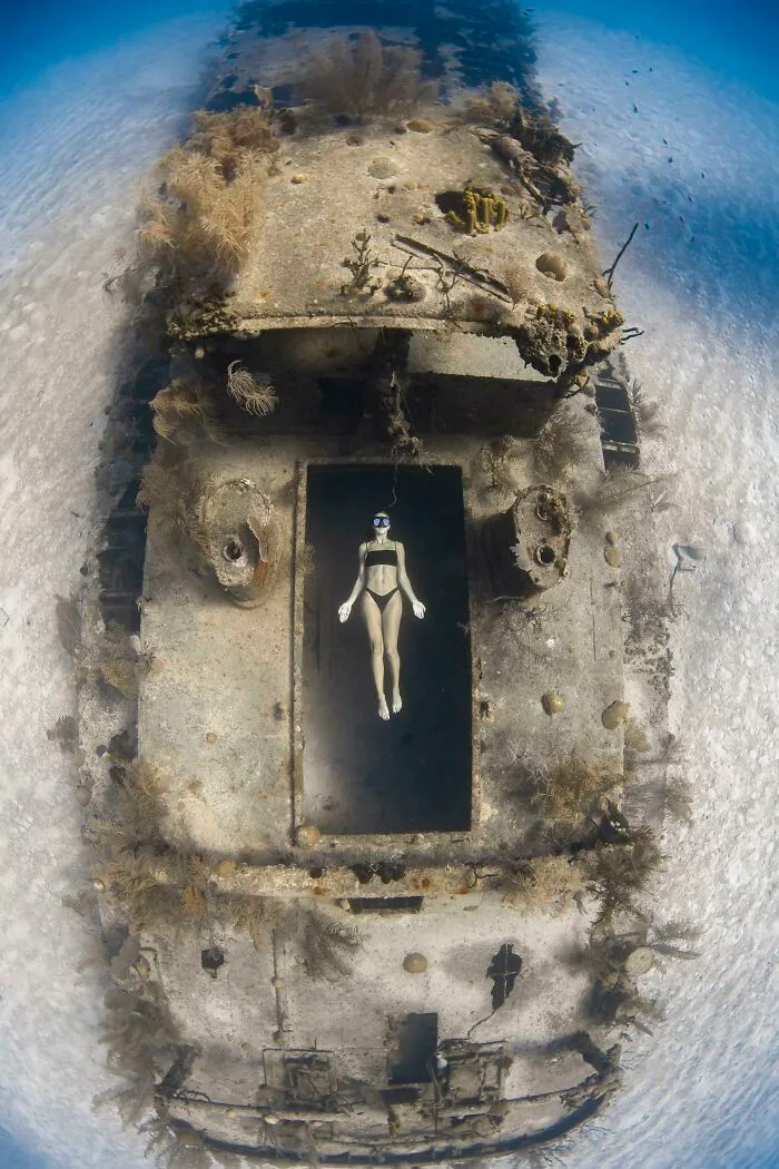 30 Fotos increíbles tomadas bajo el agua