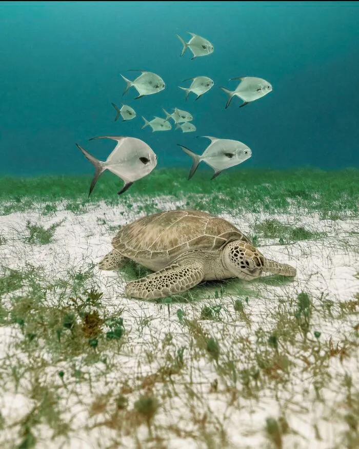 Breakfast Graze In Playa Del Carmen Mexico