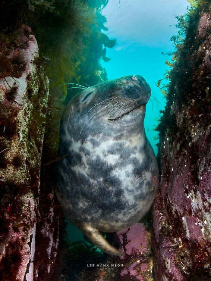 Braved The 12c Farne Islands Waters On The Weekend In Just A Wetty. Worth It