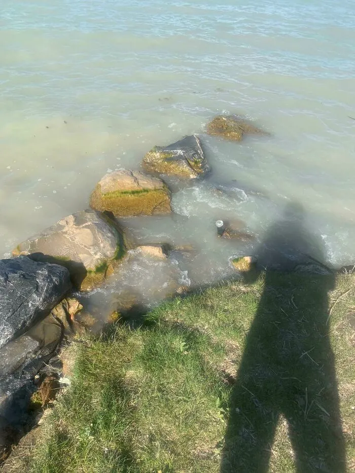 Nuestra asociación de propietarios instaló algunos aspersores junto al lago el año pasado. Un año después, aquí está uno de los aspersores, que riega el lago dos veces al día