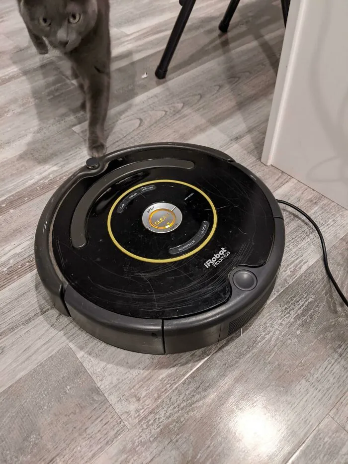 Roomba funcional con cargador por 4$. El gato aún no sabe si le gusta