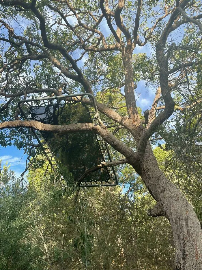 Mis vecinos tuvieron una fiesta anoche. Ese es mi trampolín