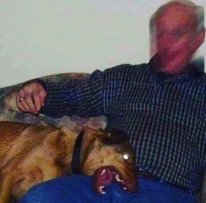 Cursed Bark