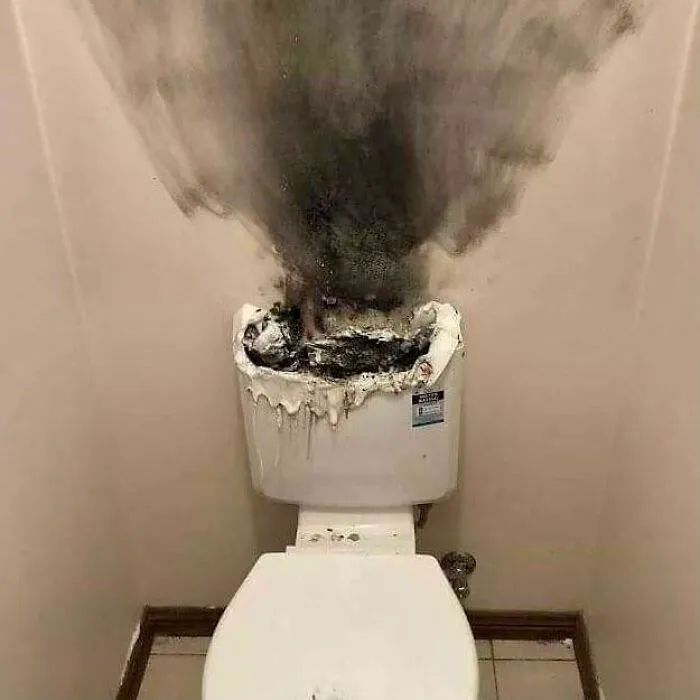 Cursed Toilet