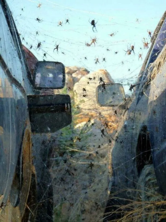 Amigos malditos