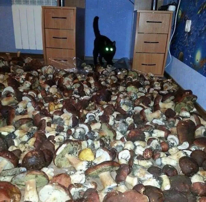 Cursed?
