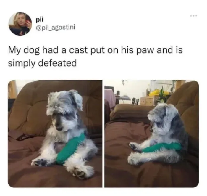 So I Sits, Then