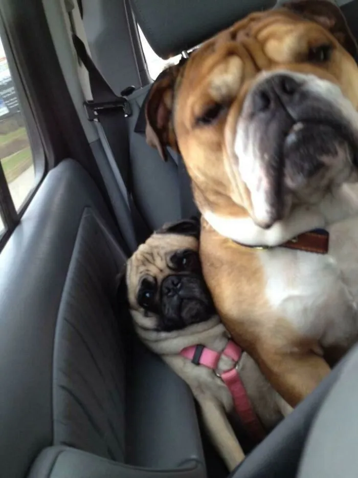 Fren Ur Doin Me A Squeeze