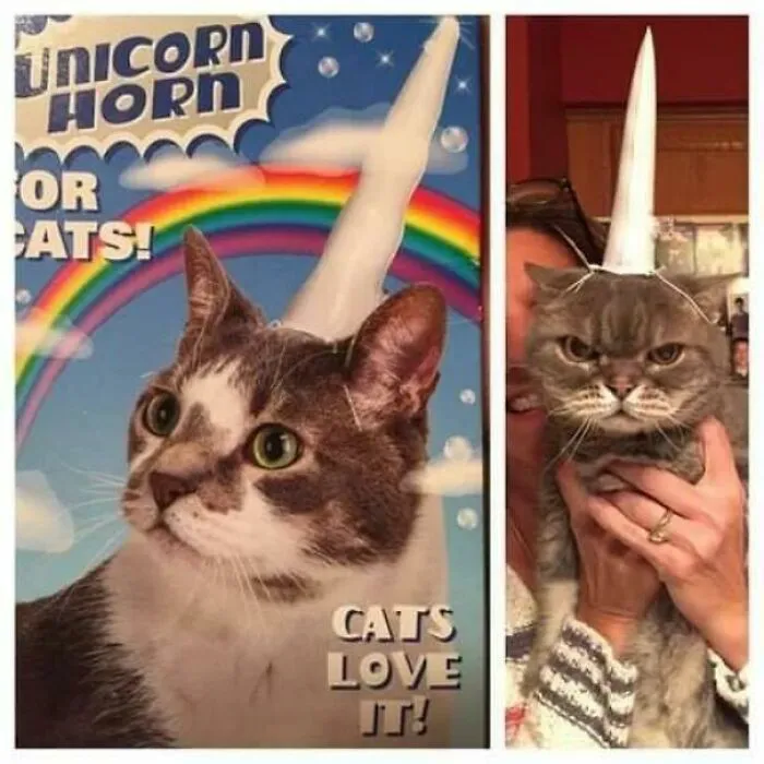 I Think We Need To Talk About This