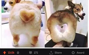 "Blessed Comments" Share 50 Examples Of A Comment Making The Post Better
