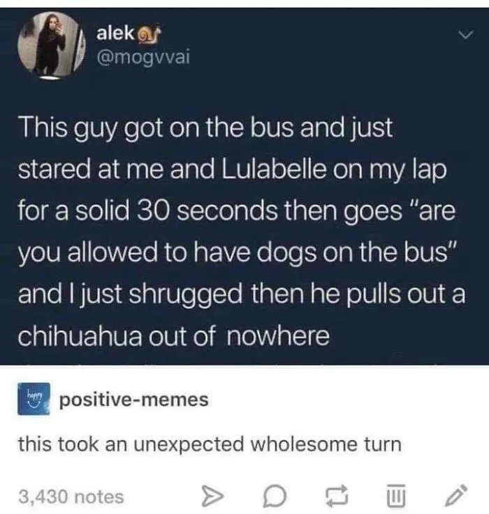 Blessed Passenger
