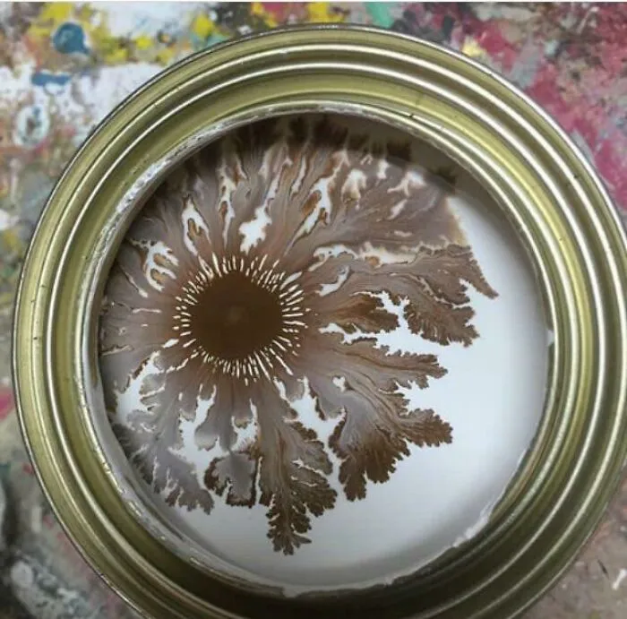 Brown Sunflower