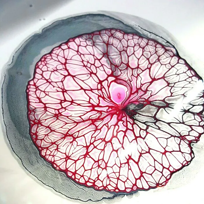 La belleza del cerebro