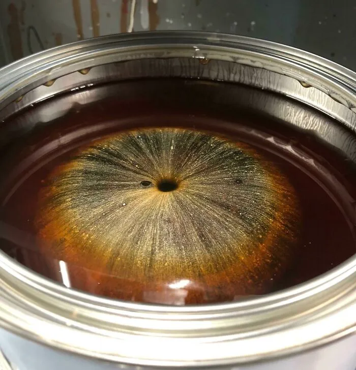 Iris