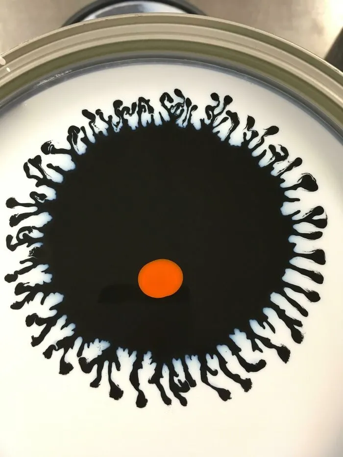 The Eye
