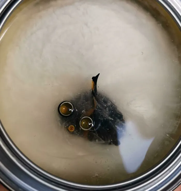 Estaba mezclando pintura en el trabajo y me ha salido este pequeño