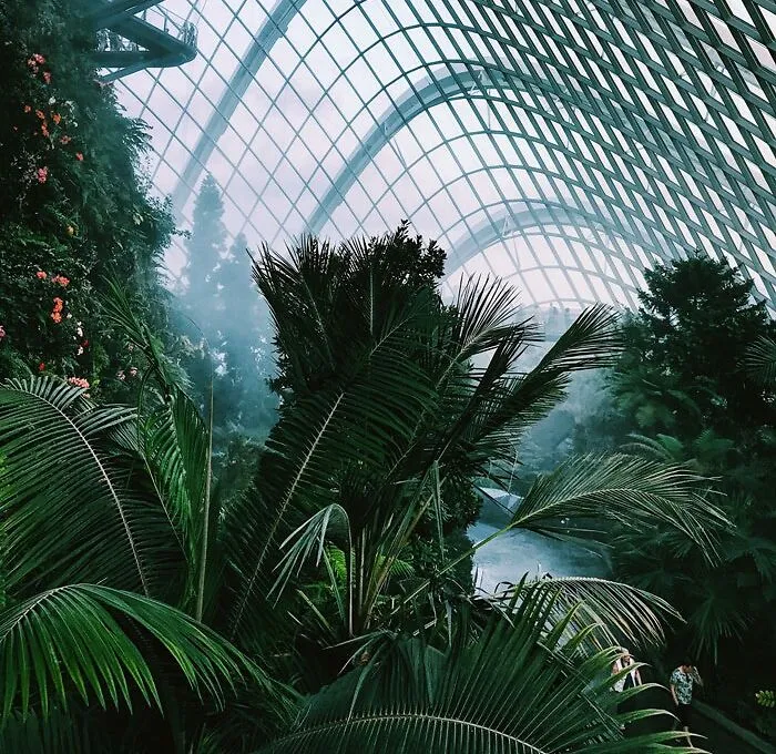 Hit Up A Botanic Garden
