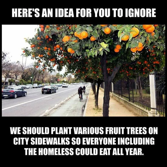 Someone Does Not Understand How Fruit Trees Are Seasonal
