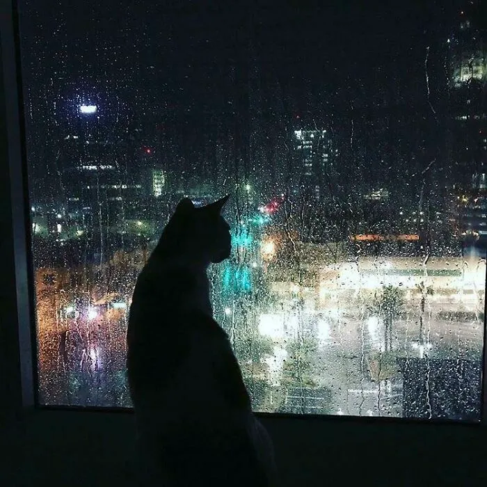 La refugiada Irma