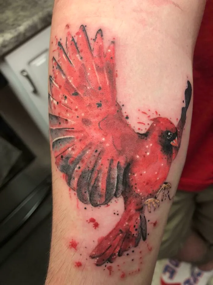 A vibrant red cardinal watercolor tattoo design on forearm.