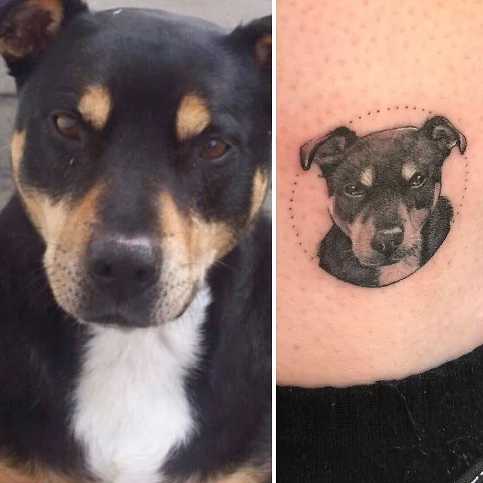 Dog portrait tattoo celebrates bond between humans and pets, featuring a realistic design on skin next to the dog's photo.