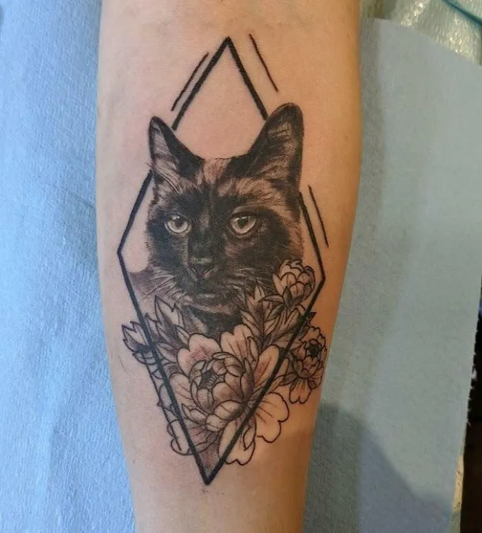 Memorial Piece Of My Cat By John Leroux