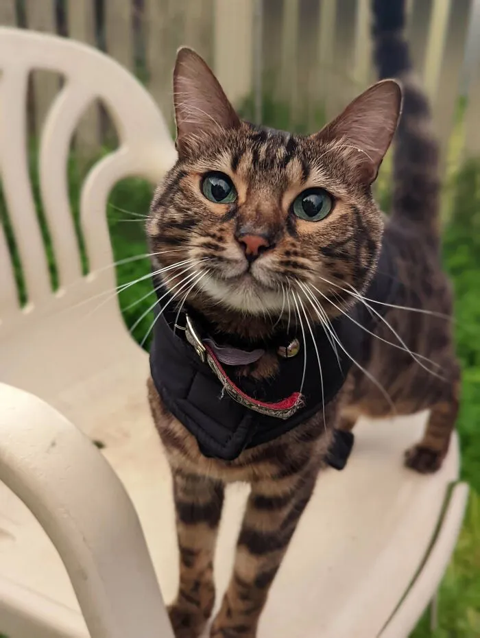 The Love In Her Eyes Just Melts My Heart