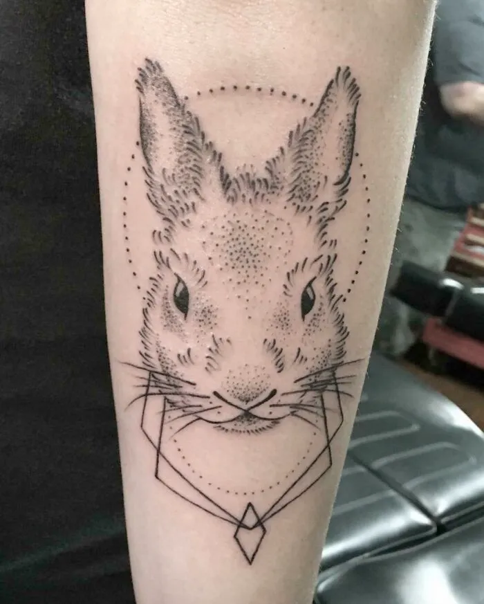 My Pet Rabbit