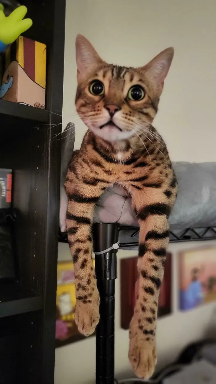 Just Hanging Out