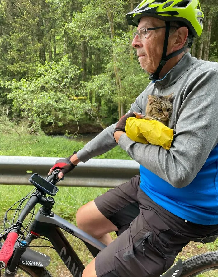 Encontramos este gato en el bosque