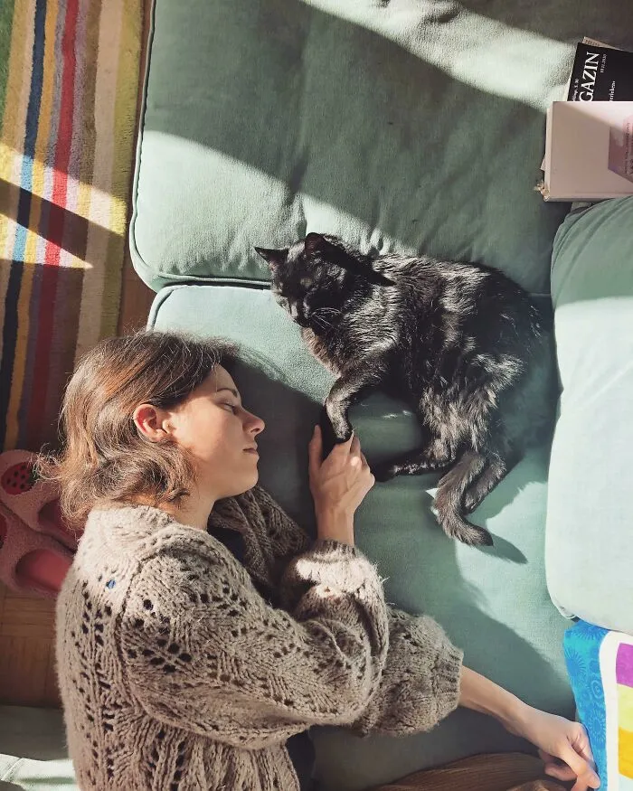Merlin And Me