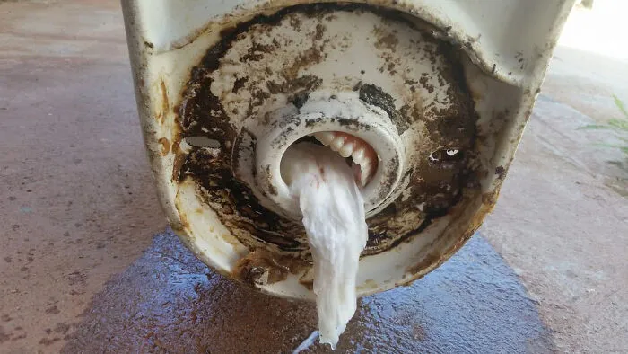 I’ll Never Unsee This