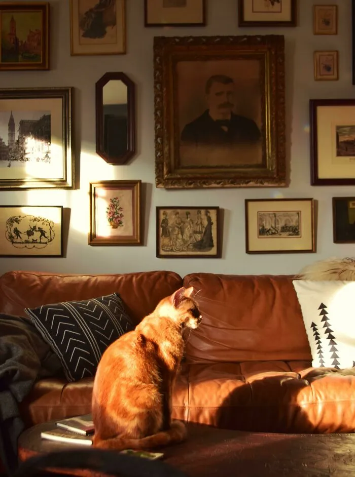 Cheeto In Caravaggio Lighting
