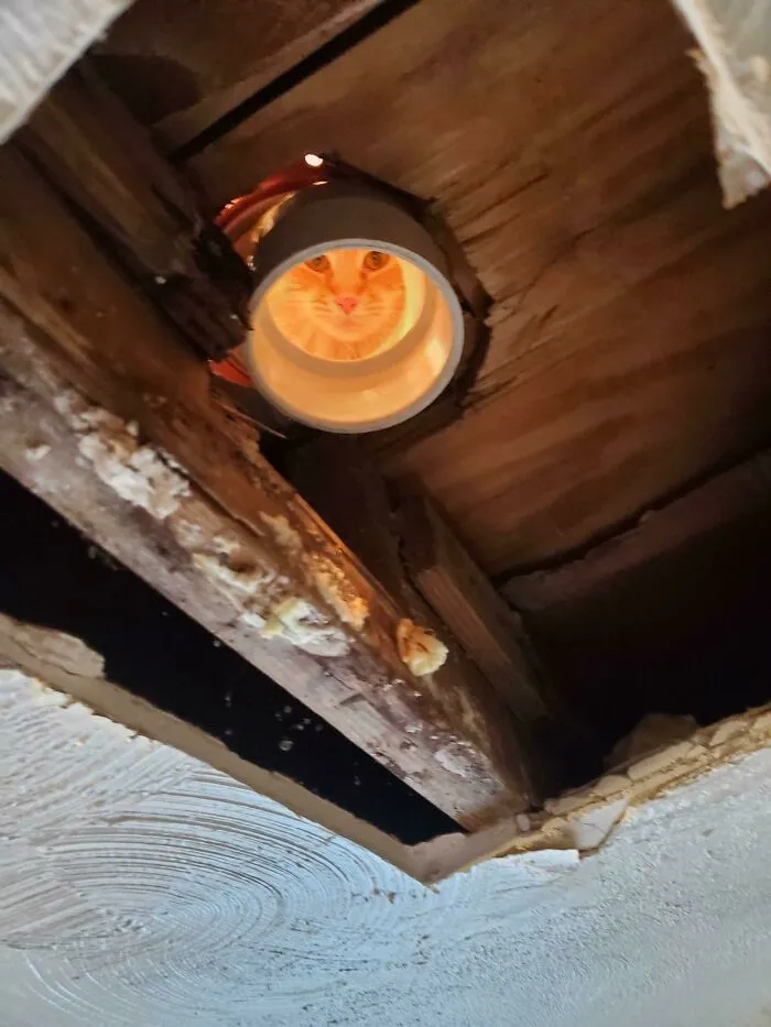 Had Some Help With A Toilet Flange Today