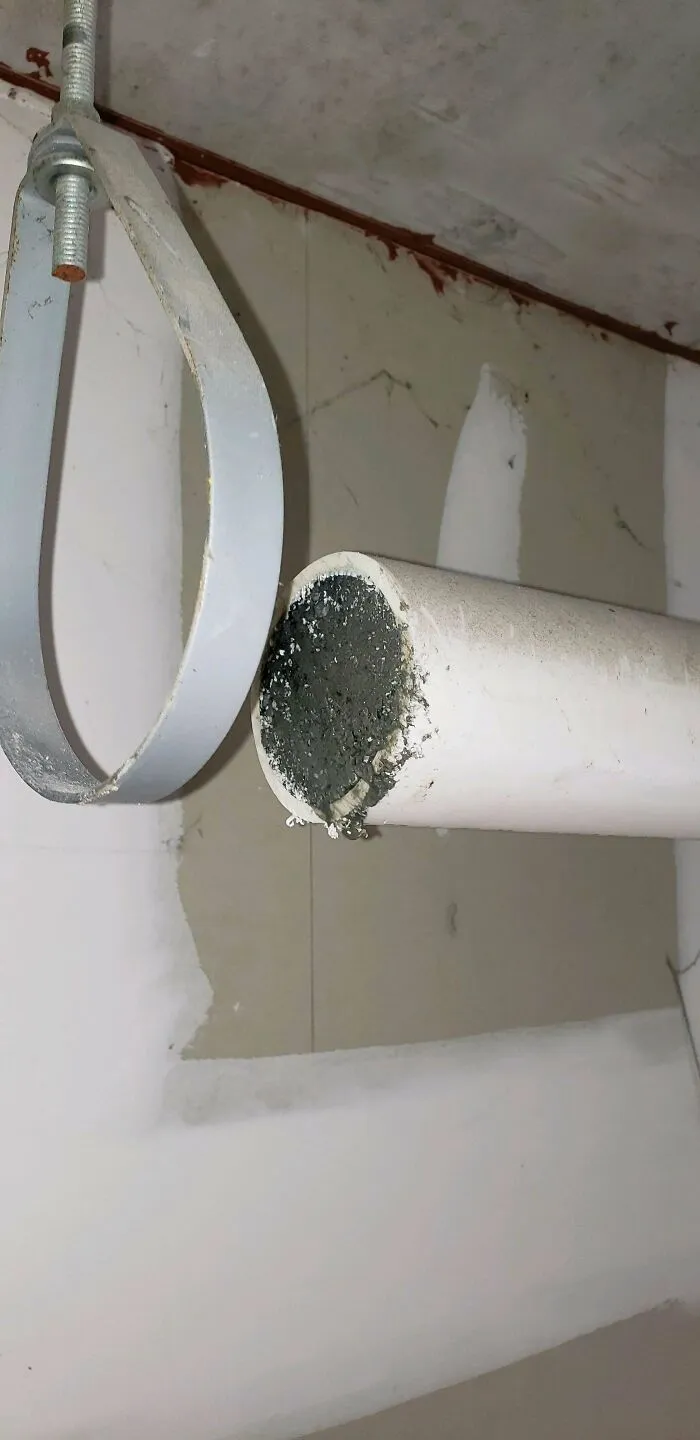 Tip: If You're Gonna Flush Cat Litter Down Your Toilet...maybe Don't