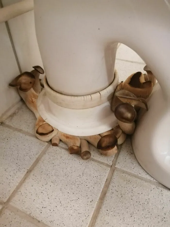 Instalación respetuosa con el medio ambiente