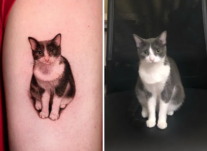 Pet tattoo of a cat on a person's arm next to the real cat sitting on a chair.