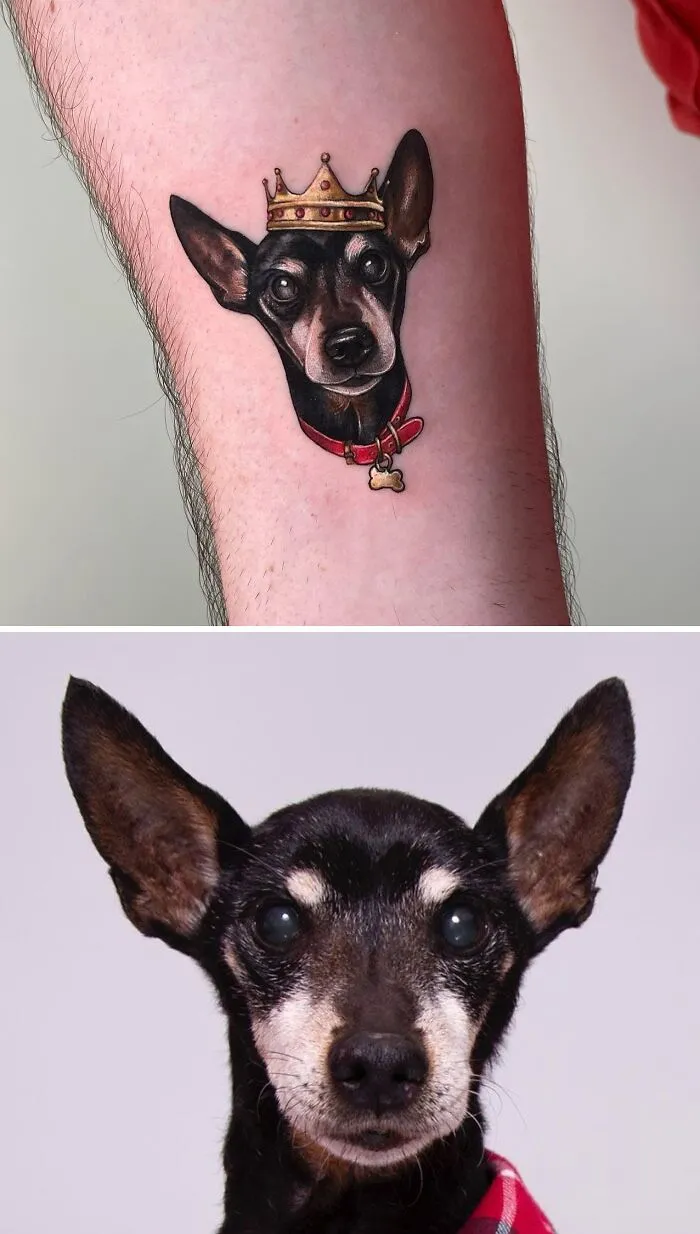Pet tattoo of a dog with a crown, celebrating the bond between humans and their pets, alongside the real dog in a red collar.