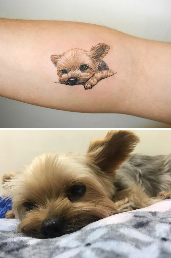 Pet Tattoo