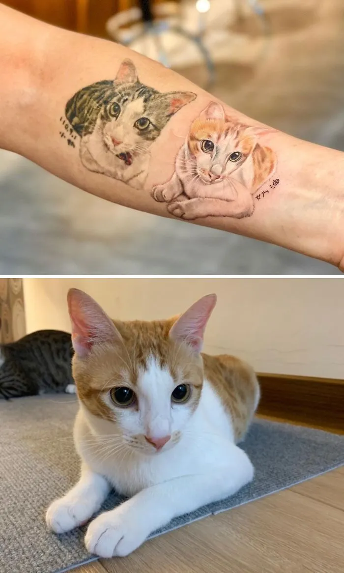 Pet tattoos showcase the bond with two cats, detailed on a person's arm, next to the real cat.